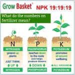 NPK 19 19 19  Fertilizer for Plants