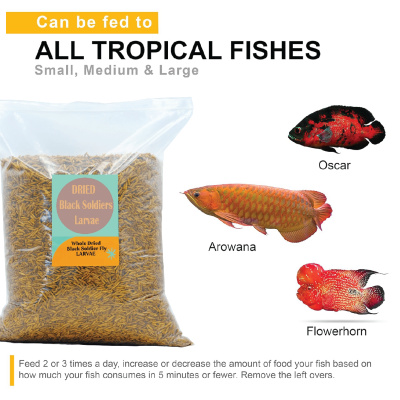 Dried Puffed Black Soldier Fly Larvae (BSF)