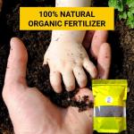 Neem Powder Organic Pesticide for Plants