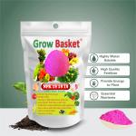 NPK 19 19 19  Fertilizer for Plants