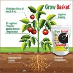 BIO GRANULES Organic Seaweed Granules Fertilizer