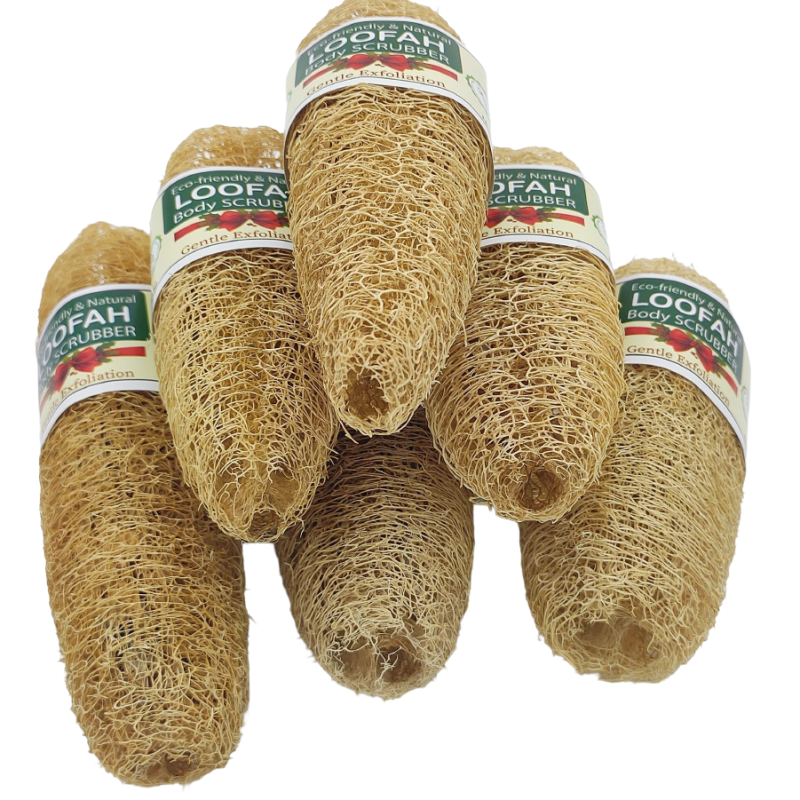 Natural Loofah Sponge for Bathing – Organic Body Scrubber for Deep Cleansing, Skin Exfoliation & Smooth Glow – Eco-Friendly, Biodegradable Bath Accessory for Men & Women