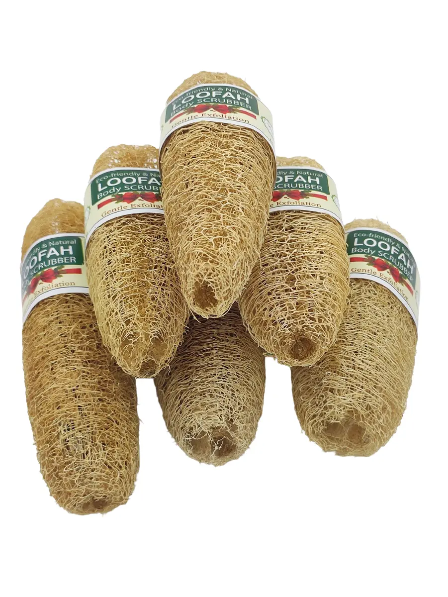 Loofah