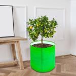 Grow Bags 12x12 Inch