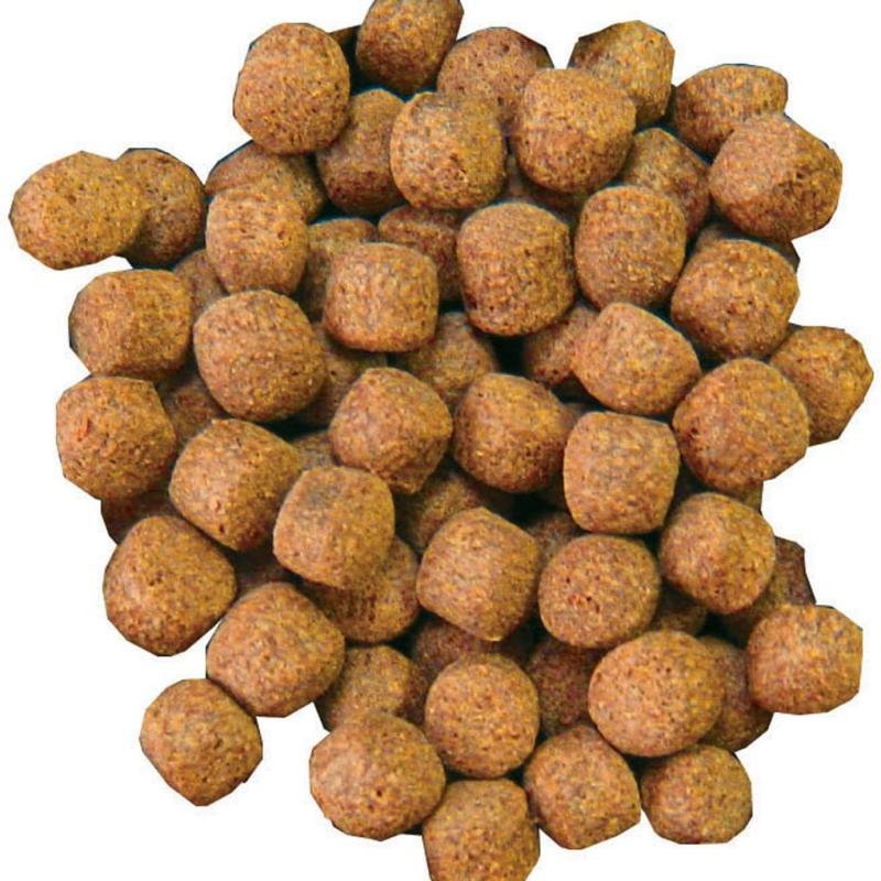 Buy High-Protein 4mm Pellet Fish Food for Monster Fishes | 30% Protein, No Artificial Colors | Ideal for Arowana, Oscar, Flowerhorn, Giant Gourami, Arapaima & More | Growbasket.in