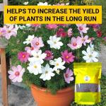 Neem Powder Organic Pesticide for Plants