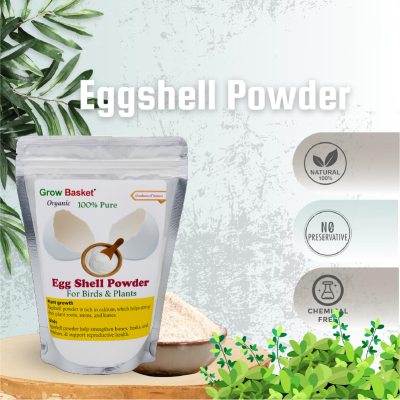 Eggshell Powder for Plants