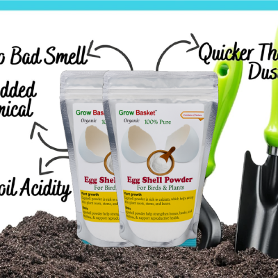 Eggshell Powder for Plants