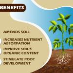 Neem Pellets for Plants
