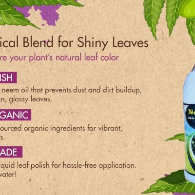 Neem Oil for Plants Organic Pest Repellent