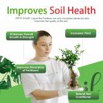 Plant Growth Regulator Promoter & Booster
