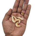 Freeze Dried E Larval Shrimps for Monster Fishes