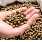 Fish Food for Monster Fishes | 4mm Pellets | 30% Protein